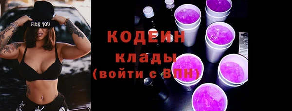 дживик Белокуриха