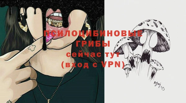 дживик Белокуриха